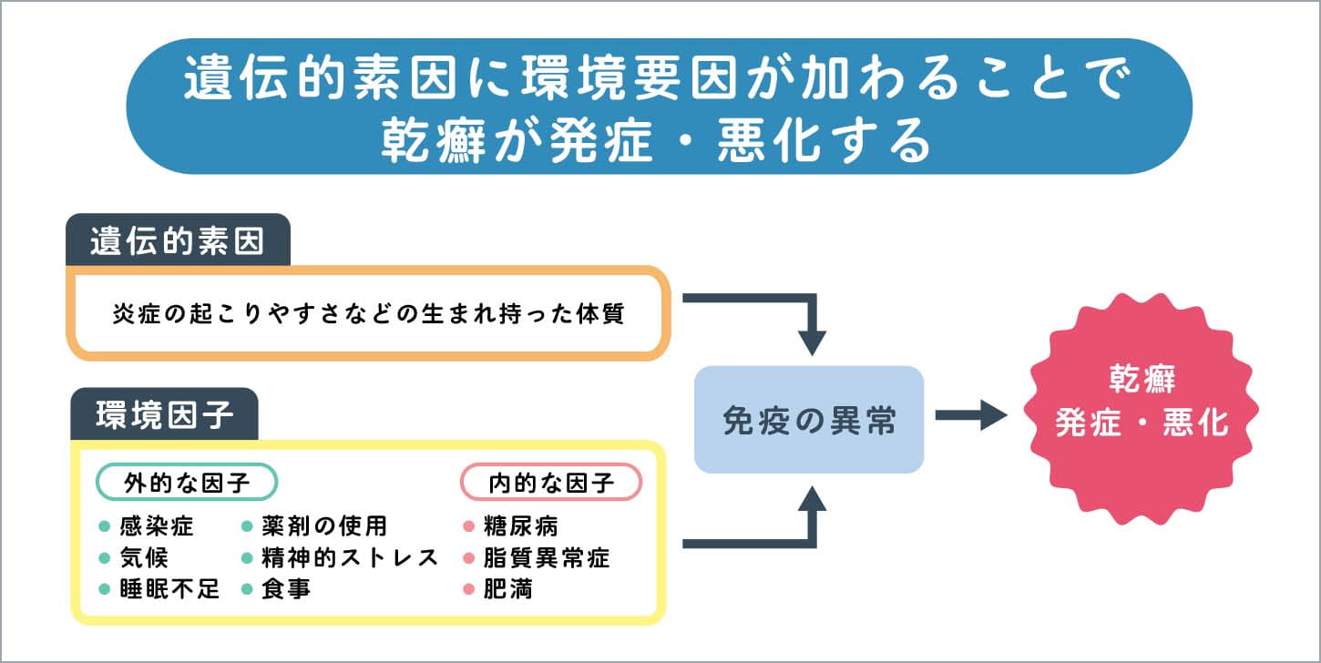 遺伝的素因に環境要因が加わることで乾癬が発症・悪化する
